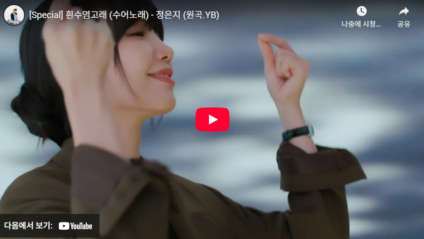 흰수염고래 (수어노래) - 정은지 (원곡.YB)