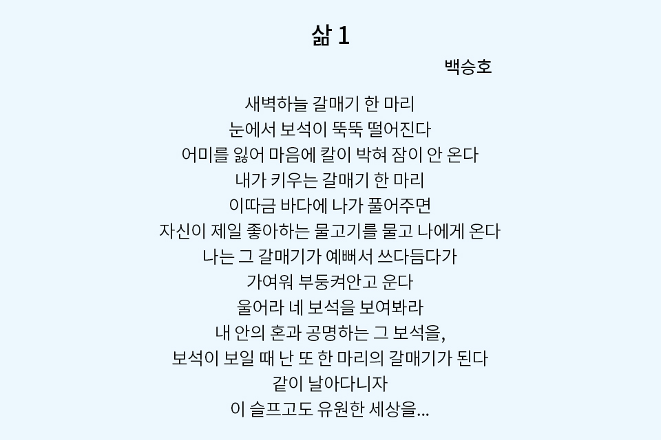 
삶 1
새벽하늘 갈매기 한 마리
백승호
눈에서 보석이 뚝뚝 떨어진다
어미를 잃어 마음에 칼이 박혀 잠이 안 온다
내가 키우는 갈매기 한 마리
이따금 바다에 나가 풀어주면
자신이 제일 좋아하는 물고기를 물고 나에게 온다
나는 그 갈매기가 예뻐서 쓰다듬다가
가여워 부둥켜안고 운다
울어라 네 보석을 보여봐라
내 안의 혼과 공명하는 그 보석을,
보석이 보일 때 난 또 한 마리의 갈매기가 된다
같이 날아다니자
이 슬프고도 유원한 세상을...