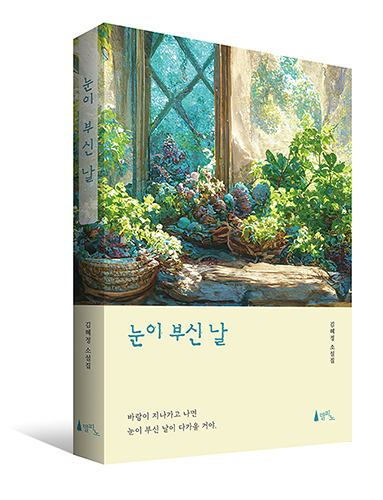 햇살이 가득 들어오는 창가에 여러 종류의 식물이 무성하게 놓여있는 따뜻한 분위기의 일러스트 책 표지. 아래 연한 크림색 부분에는 제목 「눈이 부신 날」, 오른쪽에는 김혜정 소설집이라는 글자가 세로로 적혀 있다. 그 아래 작은 글씨로 “바람이 지나가고 나면 눈이 부신 날이 다가올 거야.”라는 문구가 쓰여 있다.