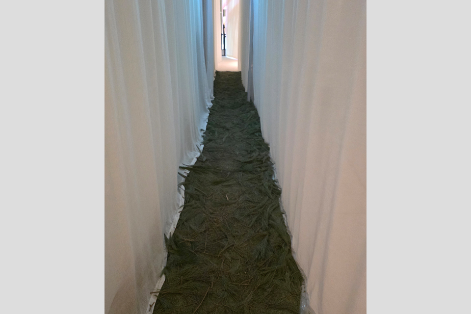 흰색 커튼을 양옆으로 길게 늘어뜨린 좁은 통로가 있다. 바닥에는 솔잎이 풍성한 잔가지가 빼곡하게 깔려 있다.